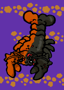 ハロウィーン・ロブスター　Halloween Lobster