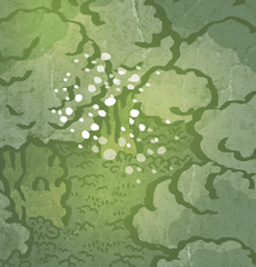 �ӂ�ʂɂӂ�䂫�@�~��ʂɍ~���