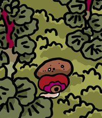 �����������@�Ԃ���