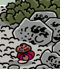 ��������������@�Ԃ��L�k