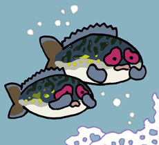 ���肳�΁@�L�I