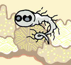 ̂@卪̖