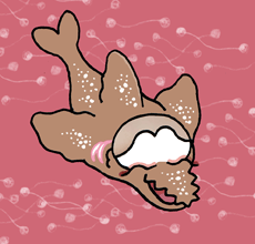 ӂ@厼
