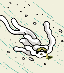 nW