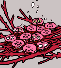 �݂����̂����@���؂̎}