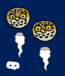 �ʂ�����