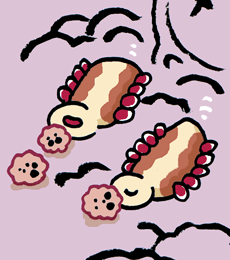 ݂イ@