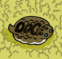 ܂ނ@