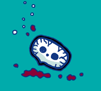 ������邽�܁@�����